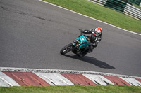 cadwell-no-limits-trackday;cadwell-park;cadwell-park-photographs;cadwell-trackday-photographs;enduro-digital-images;event-digital-images;eventdigitalimages;no-limits-trackdays;peter-wileman-photography;racing-digital-images;trackday-digital-images;trackday-photos